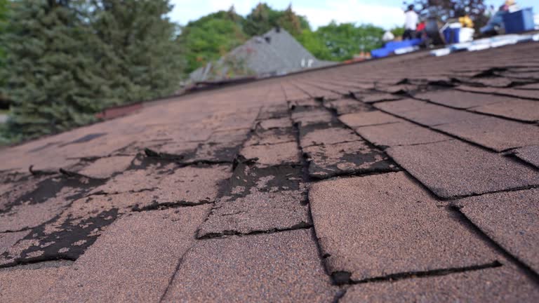  Royal Kunia, HI Roofing Pros