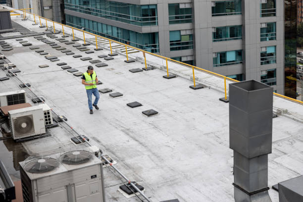 Best Cold Roofs  in Royal Kunia, HI