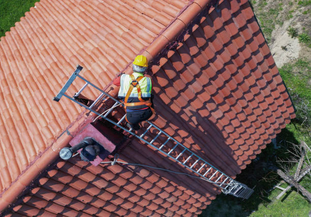 Best Metal Roofing Installation  in Royal Kunia, HI